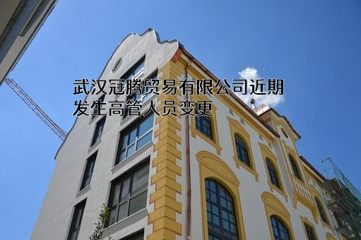 武汉冠腾贸易有限公司