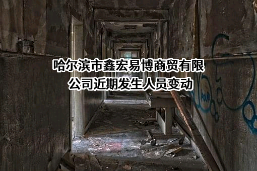哈尔滨市鑫宏易博商贸有限公司