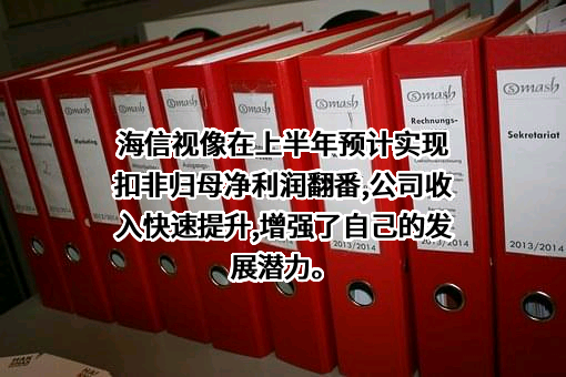 海信视像科技股份有限公司