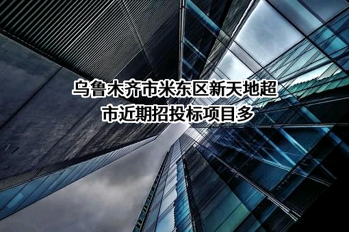乌鲁木齐市米东区新天地超市