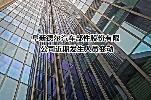 阜新德尔汽车部件股份有限公司