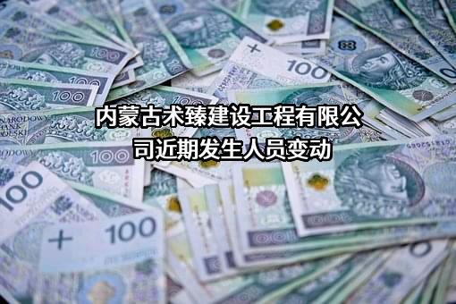 内蒙古术臻建设工程有限公司
