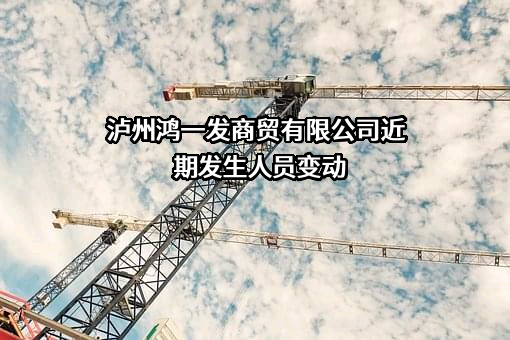 泸州鸿一发商贸有限公司
