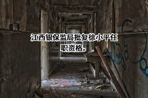 江西中晟保险代理有限公司