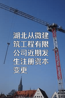湖北从微建筑工程有限公司