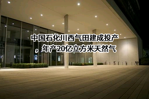 中国石油化工集团有限公司