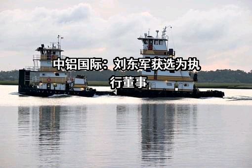中铝国际工程股份有限公司
