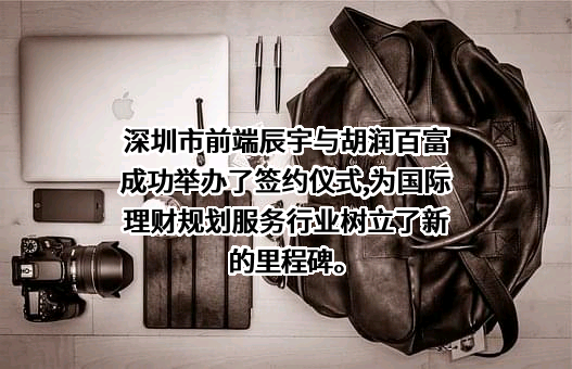 深圳市前海辰宇投资咨询有限公司