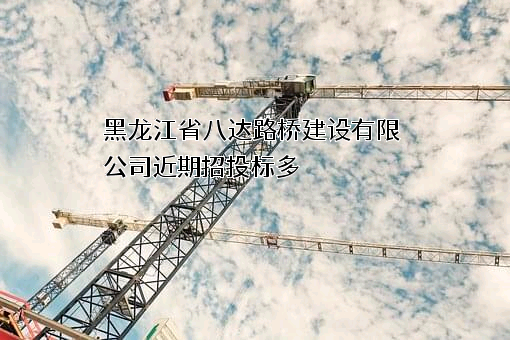 黑龙江省八达路桥建设有限公司