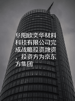 阜阳欣奕华材料科技有限公司