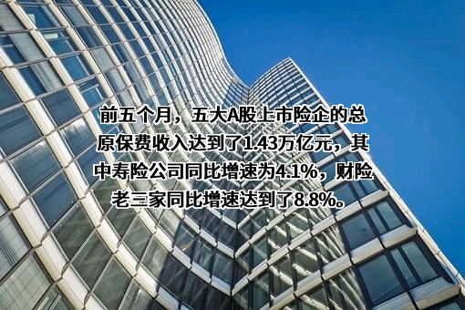 中国太平洋保险（集团）股份有限公司