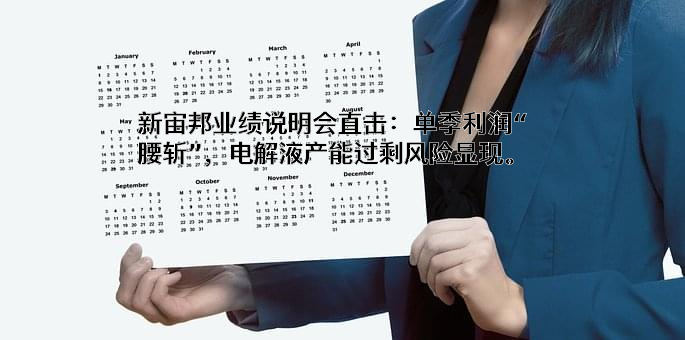 深圳新宙邦科技股份有限公司