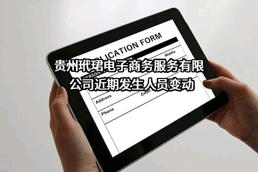 贵州玳珺电子商务服务有限公司
