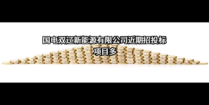 国电双辽新能源有限公司