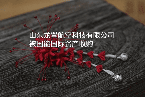 山东龙翼航空科技有限公司