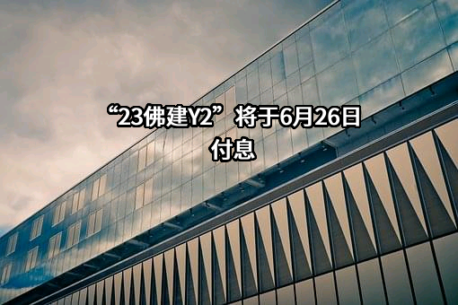 佛山市南海区狮山镇建设集团有限公司