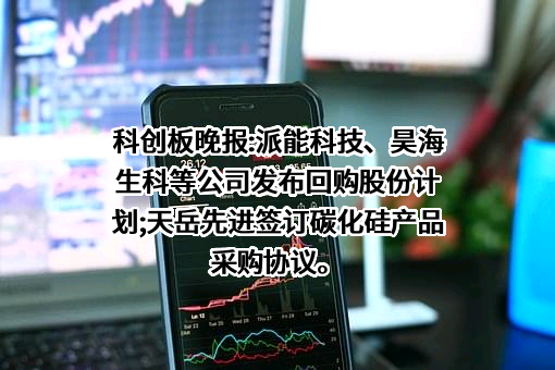 山东天岳先进科技股份有限公司