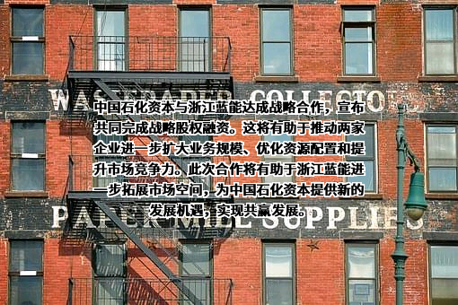 中国石化集团资本有限公司