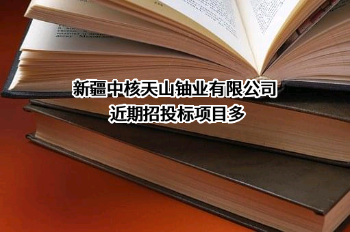 新疆中核天山铀业有限公司近期招投标项目多