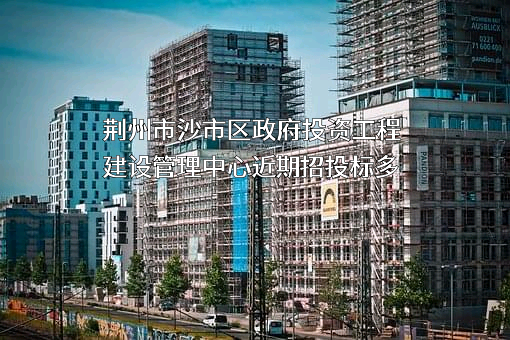 荆州市沙市区政府投资工程建设管理中心