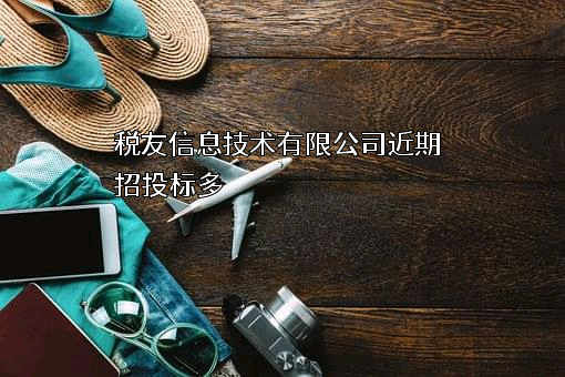 税友信息技术有限公司