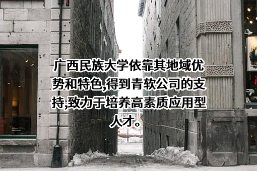 南宁市大数据发展局
