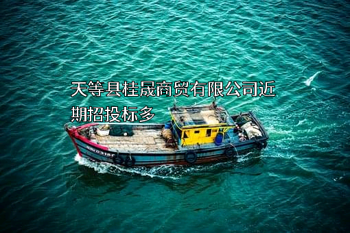 天等县桂晟商贸有限公司