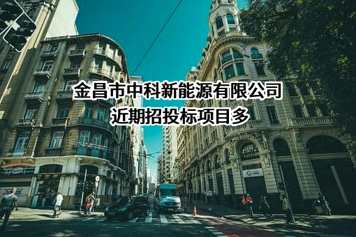 金昌市中科新能源有限公司