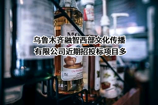 乌鲁木齐融智西部文化传播有限公司