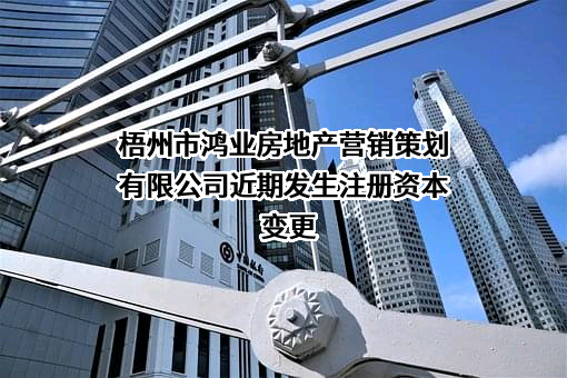 梧州市鸿业房地产营销策划有限公司