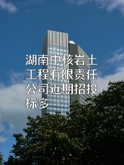 湖南中核岩土工程有限责任公司近期招投标项目多