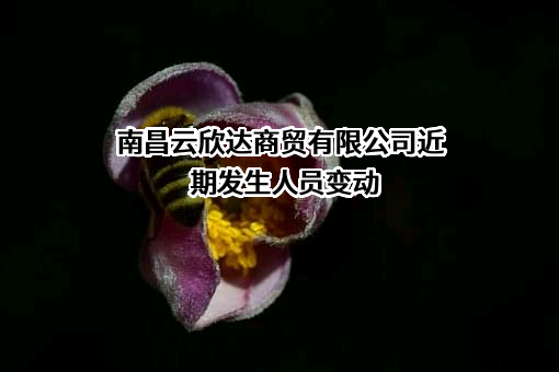 南昌云欣达商贸有限公司