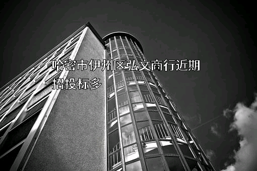哈密市伊州区弘文商行