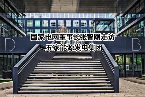 国家电网有限公司