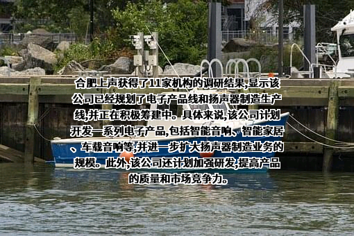 苏州上声电子股份有限公司