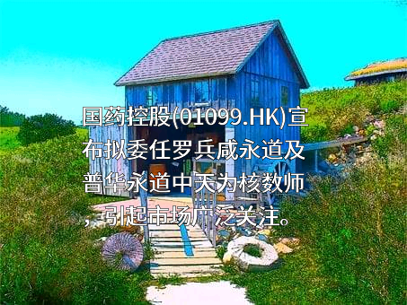 国药控股股份有限公司
