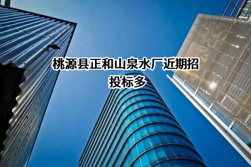 桃源县正和山泉水厂
