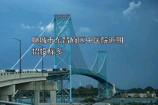 聊城市东昌府区中医院