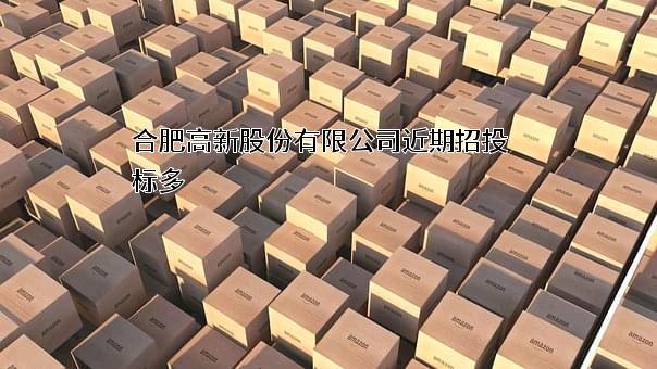 合肥高新股份有限公司