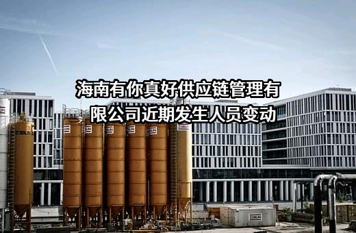 海南有你真好供应链管理有限公司