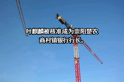 崇阳楚农商村镇银行股份有限公司