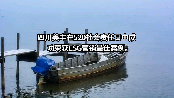 四川美丰化工股份有限公司