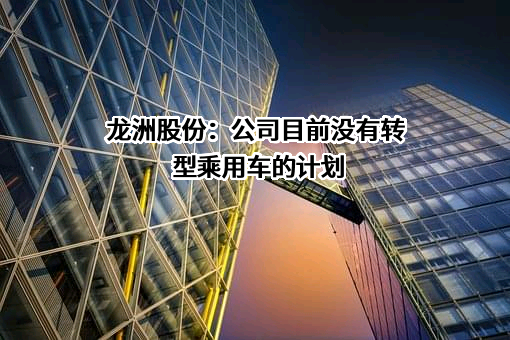 龙洲集团股份有限公司