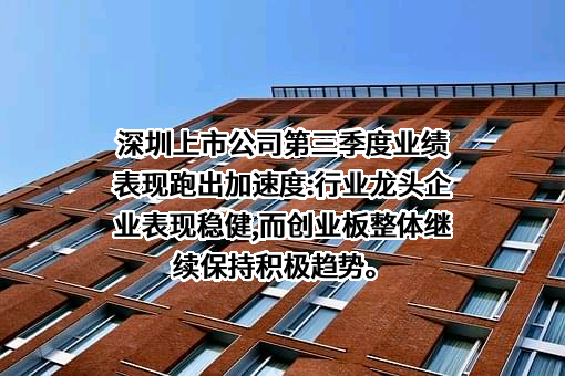 比亚迪股份有限公司