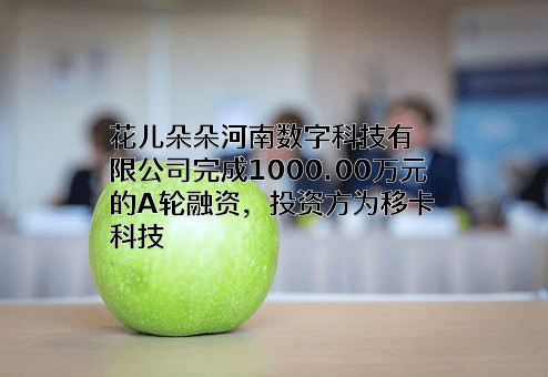 花儿朵朵河南数字科技有限公司