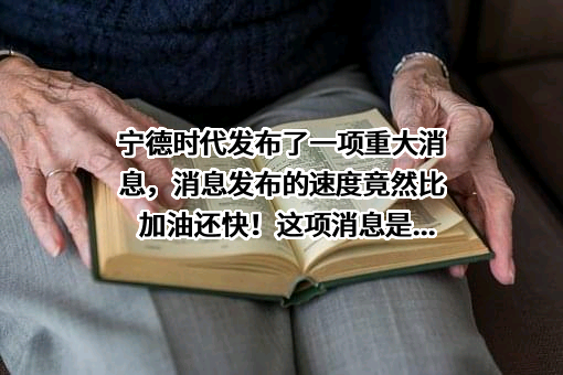 宁德时代新能源科技股份有限公司