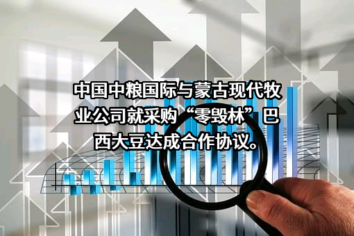 中国现代牧业控股有限公司
