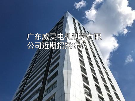 广东威灵电机制造有限公司