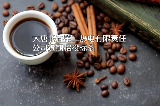 大唐长春第二热电有限责任公司