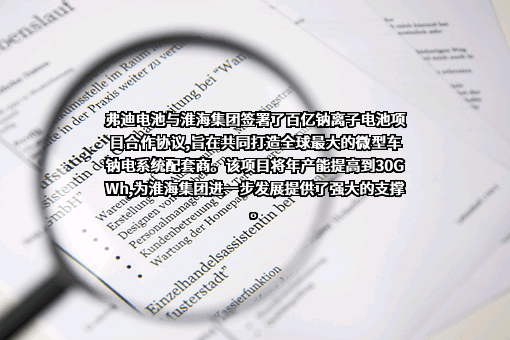 弗迪电池有限公司